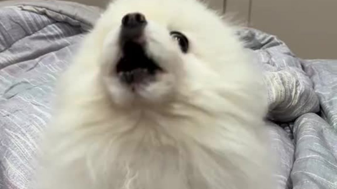 the only man we need