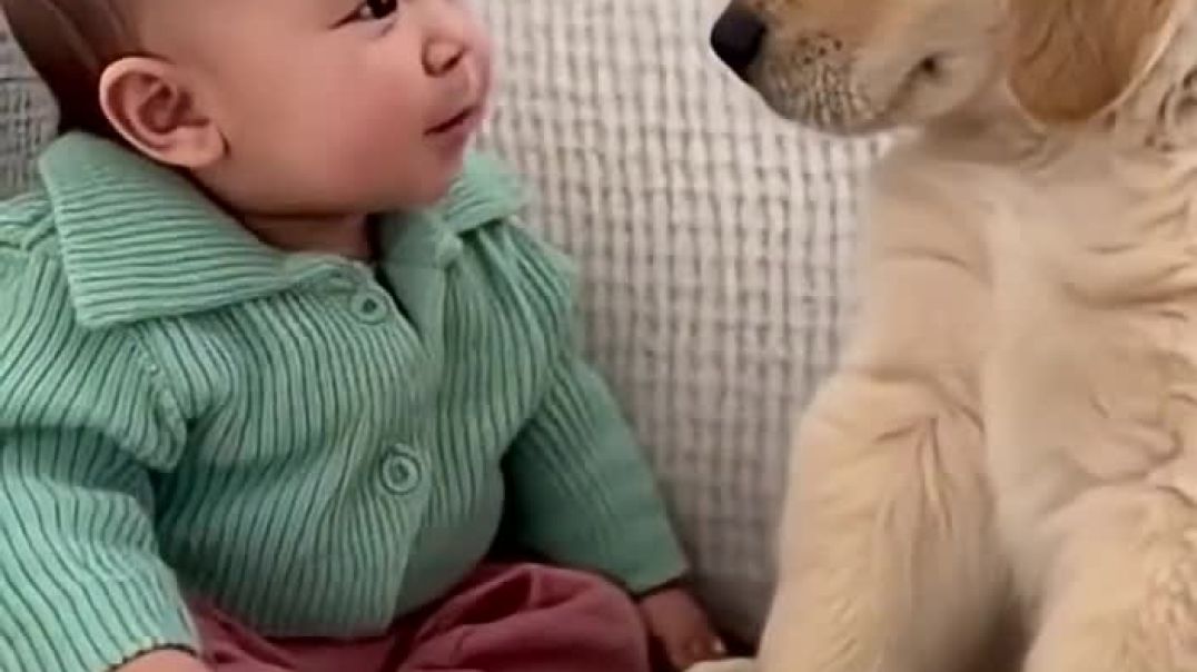 아기가 '아부부바' 하자 강아지가 보인 역대급 반응 🤣 (1)