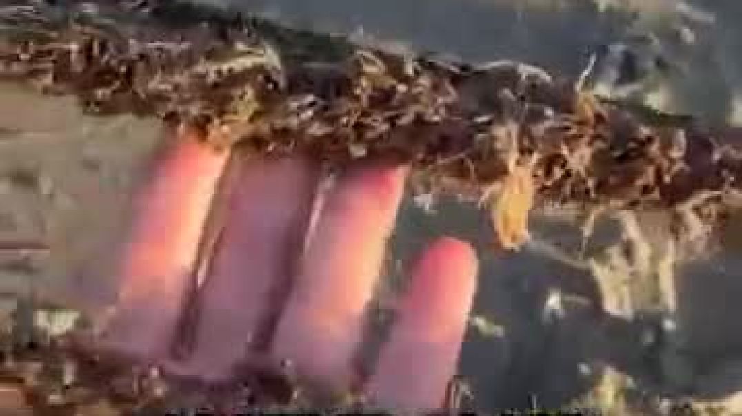 Why Mussel Farms Are OP