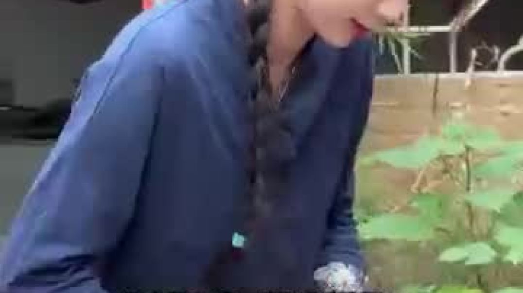 ⁣How These Leaves Changed Beauty Forever