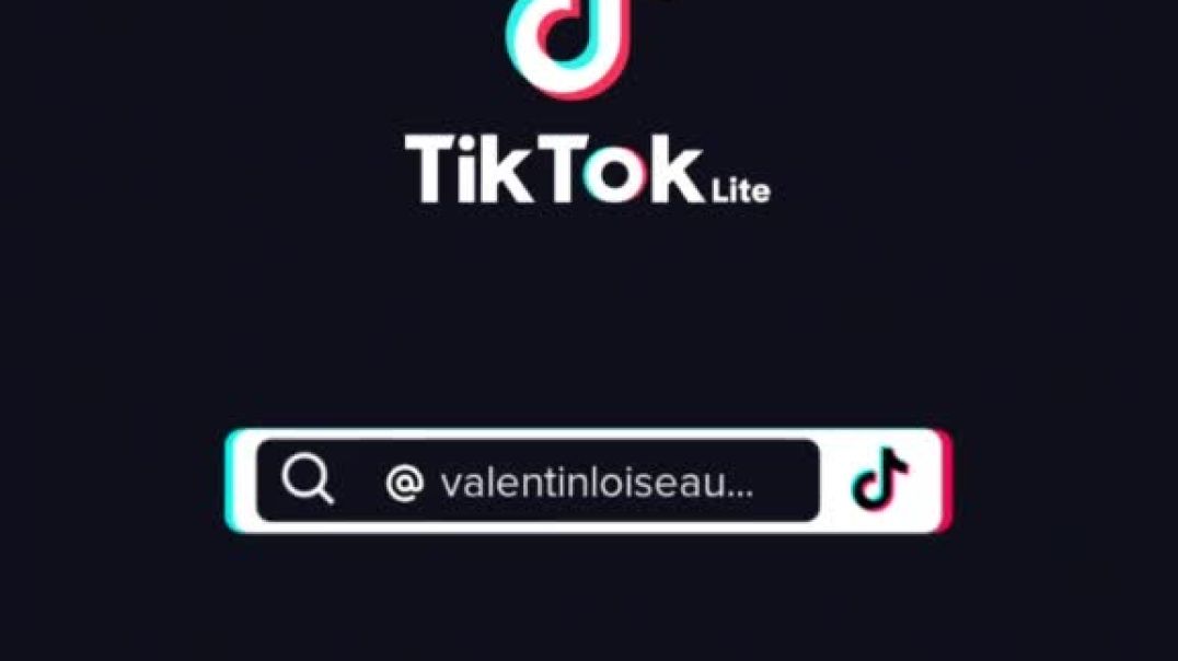 The cat discovered a premium hiding place