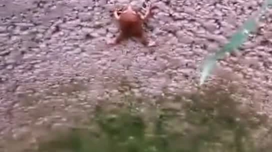 井里的青蛙都会想要出来长见识，更何况是你