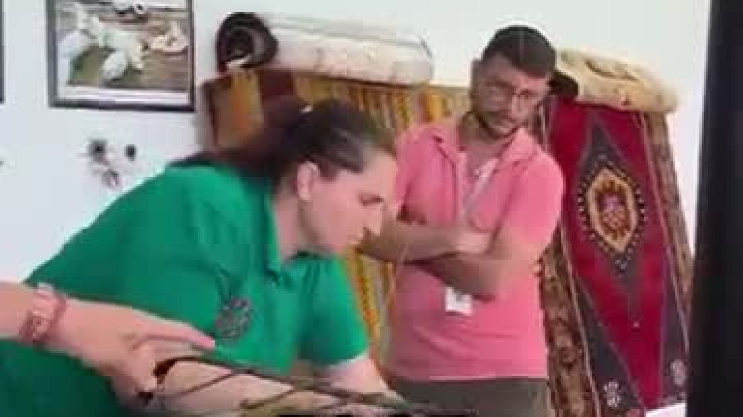 how cocoons become clothes