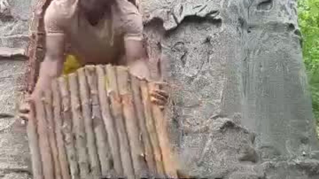 ⁣The Real Reason People Carve Baobab Trees