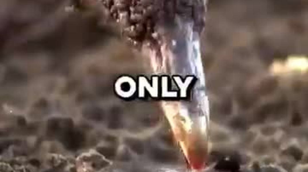 ⁣Why baby turtles crawl to the ocean