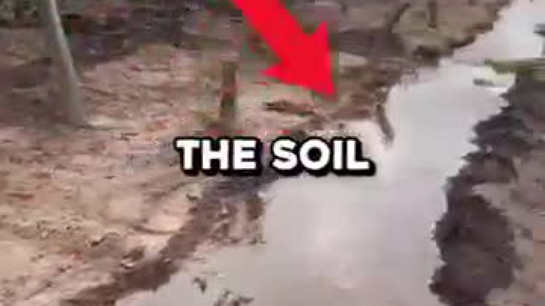 Why Farmers Use Plastic Bags For Water Flow