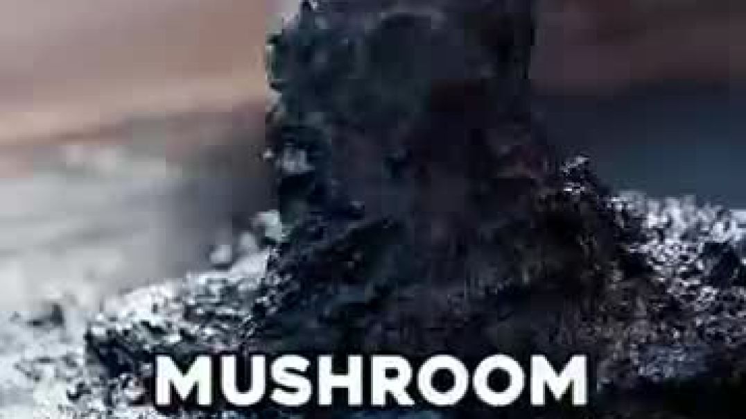 he turns mushrooms into the unthinkable