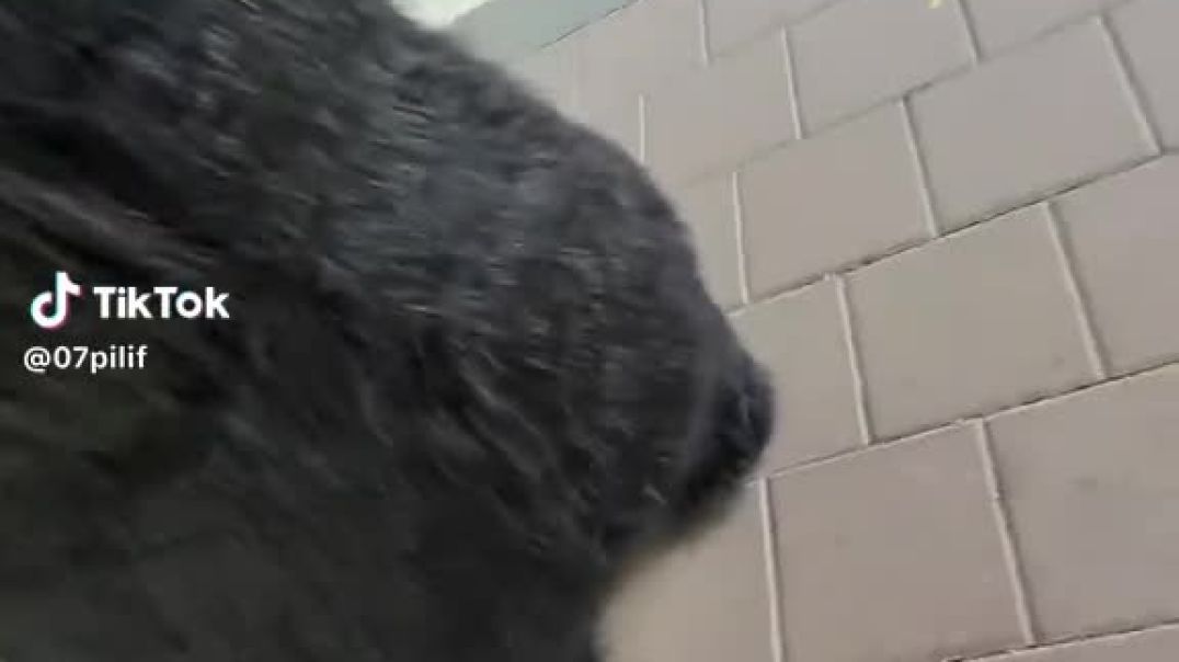 ⁣Fart spray on costume prank. Staged