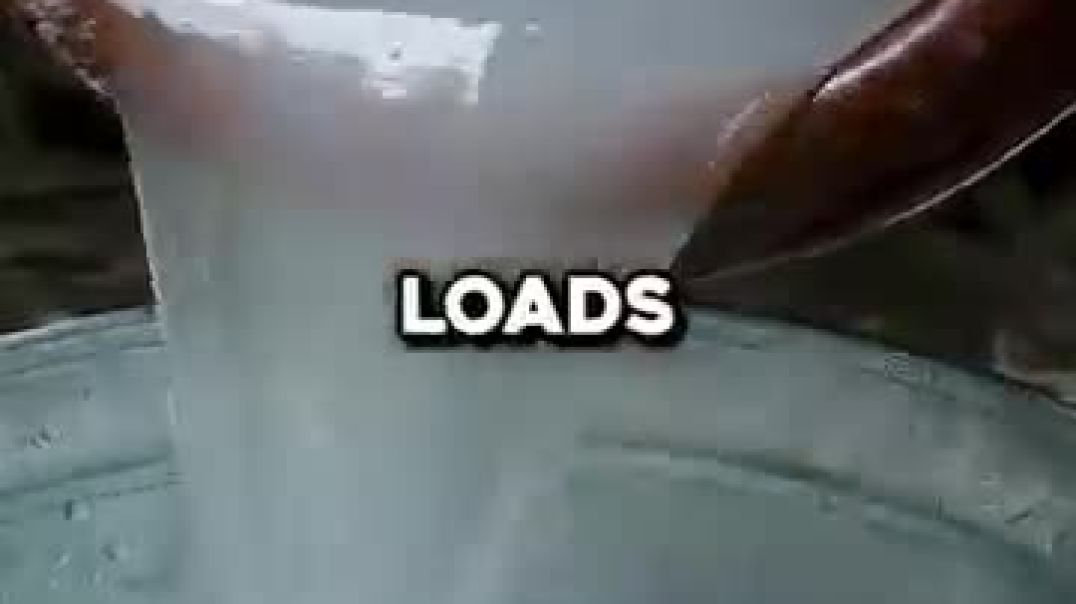 ⁣The Wood You've Been Eating Without Knowing