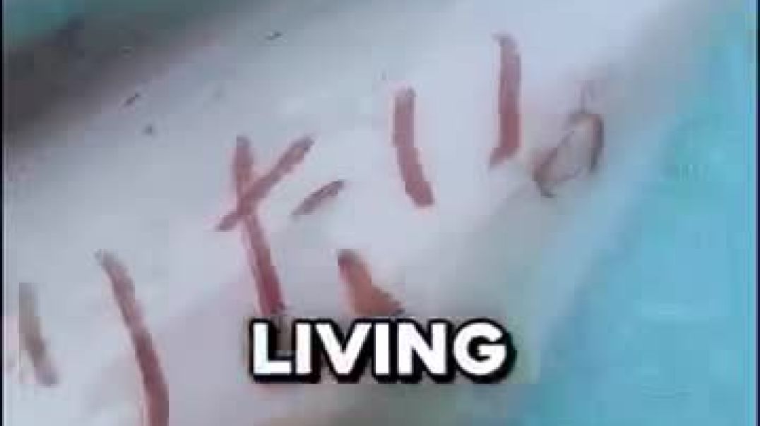 ⁣Why Squids Skin Works Like a Whiteboard