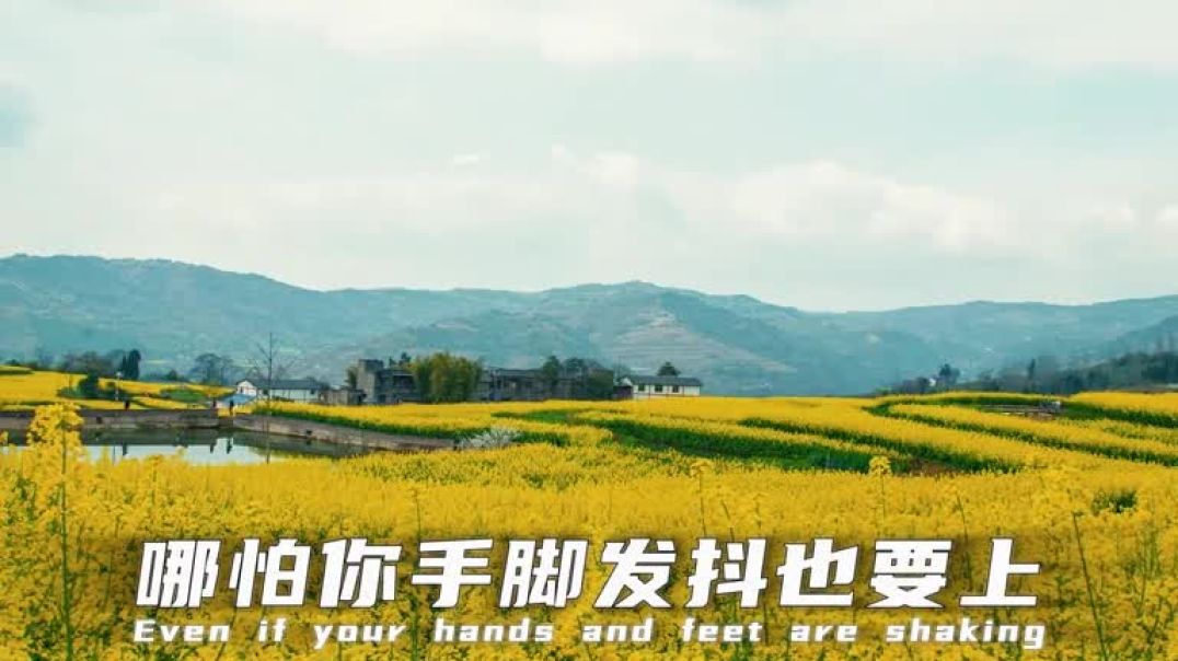 成长的最快方式