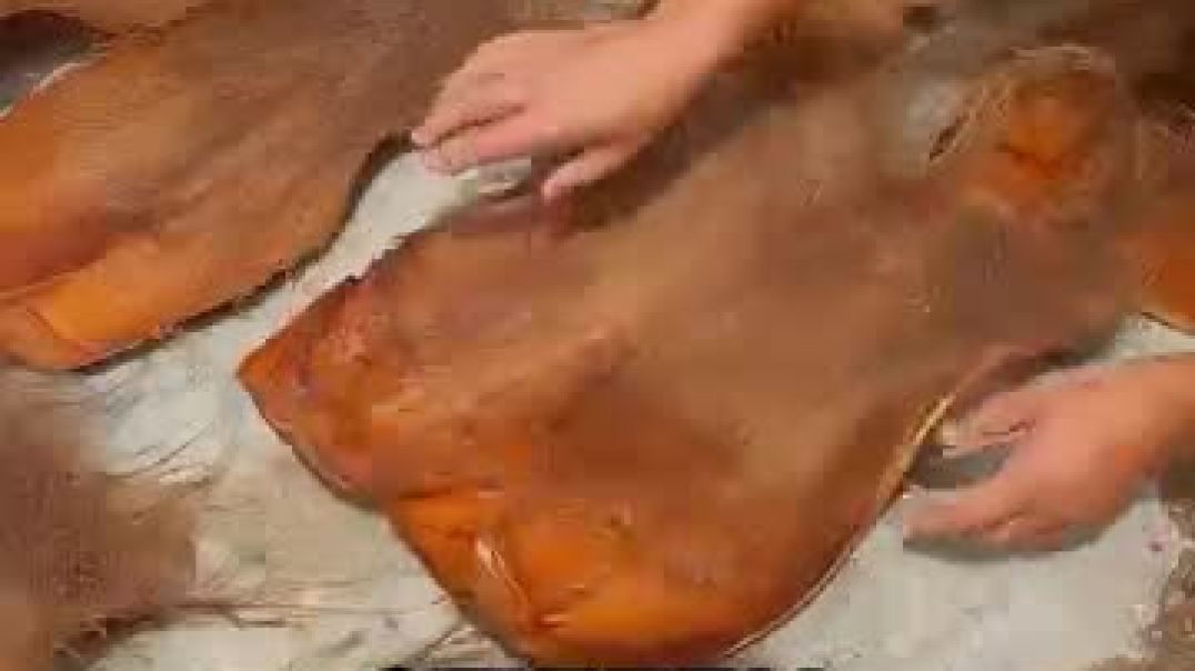 ⁣The Ancient Tool Hidden Inside Palm Trees