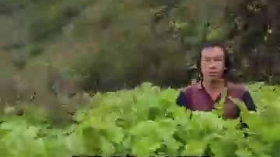 ⁣he records years of nature in seconds