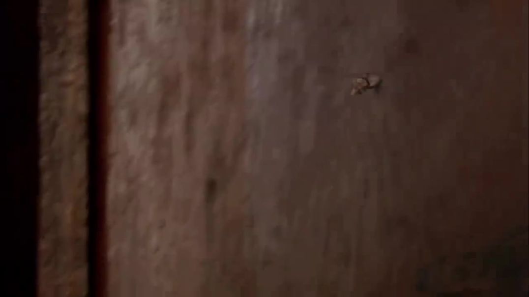 PLASTIC - SHORT FILM BY SANDY WIDYANATA - Sandy Widyanata