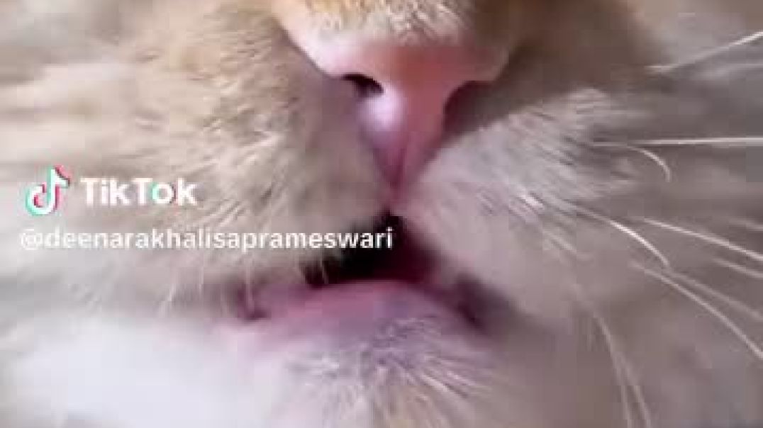 ⁣WhatsApp Video 2025-12-11 at 10