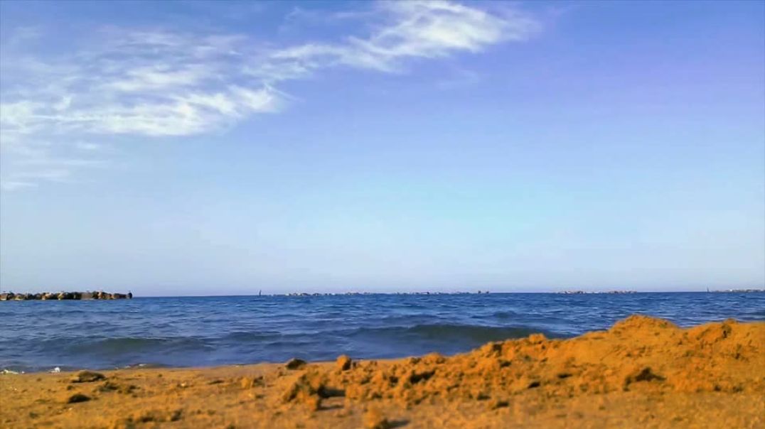 11982-233836092_small