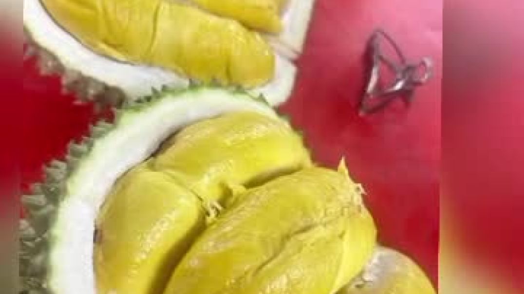 ⁣WhatsApp Video 2025-12-03 at 11