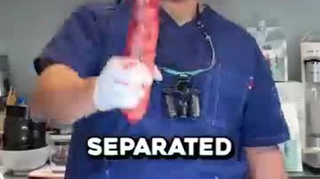 ⁣The Expensive Jelly Inside Tuna