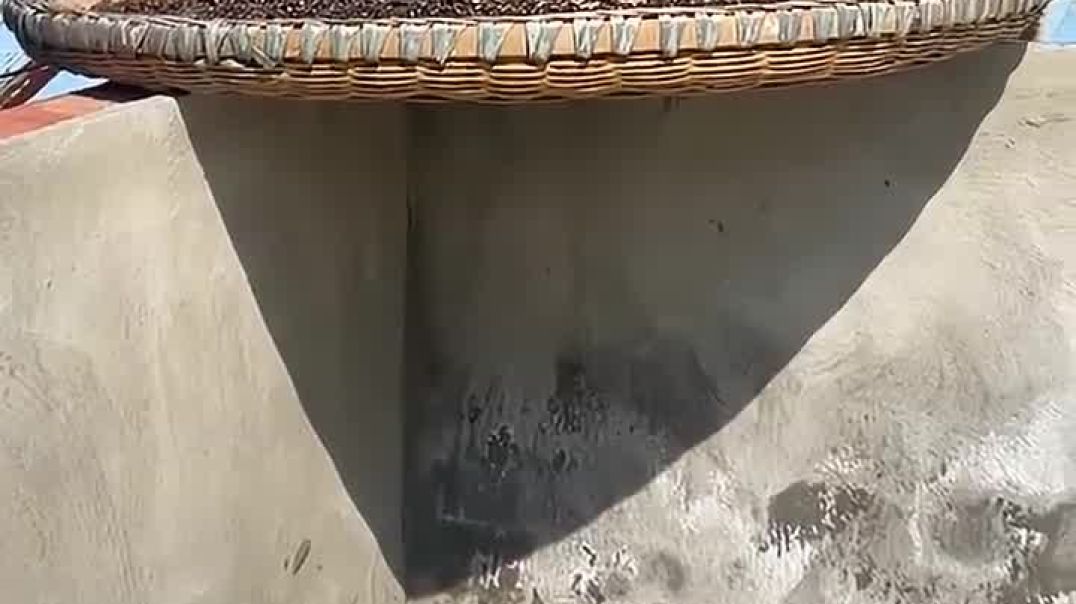 Turning_Toxic_Fruit_Into_A_Superfood_720P