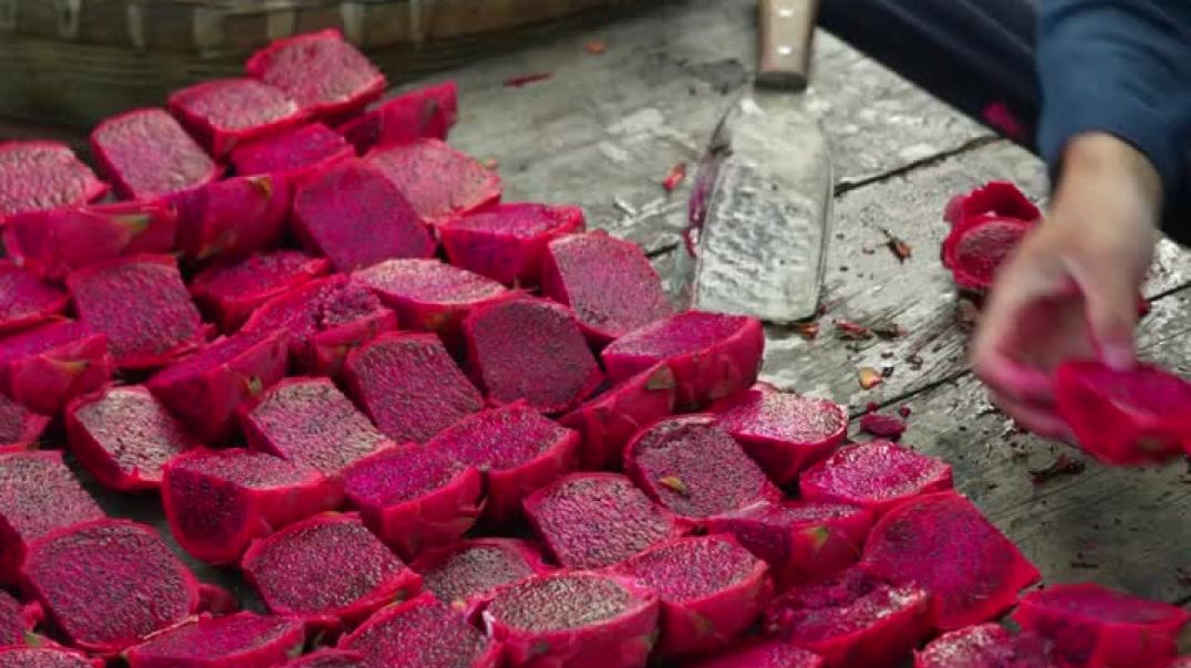 How dragon fruit is made into a fermented drink