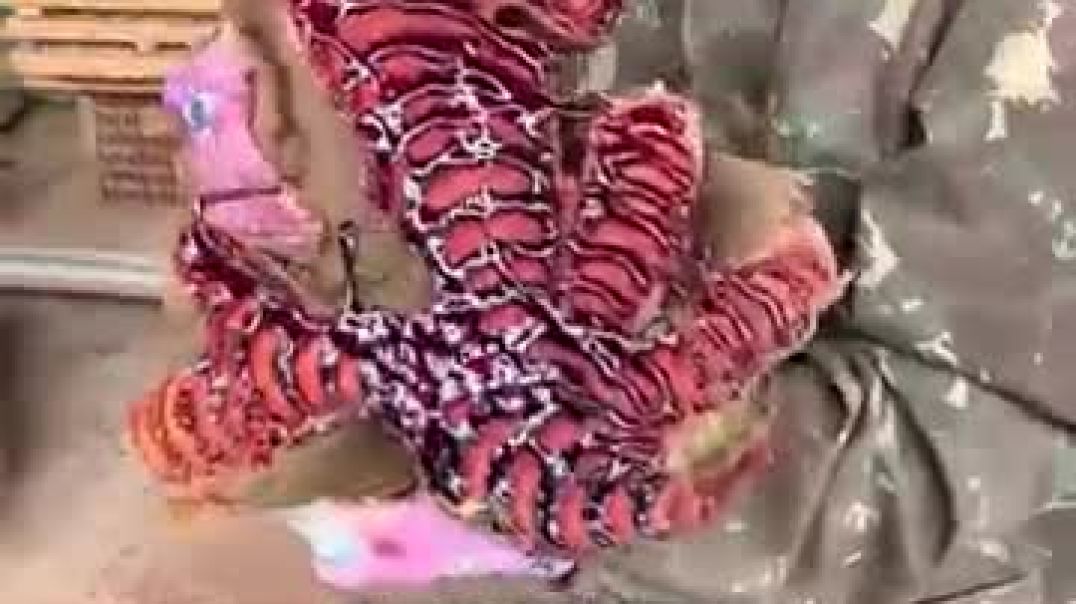 ⁣What's Inside This Tree Is Worth Hundreds