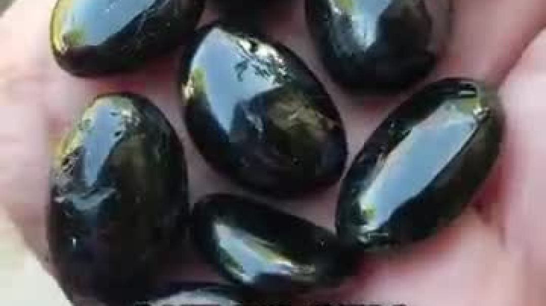 What Are Snake Pearls