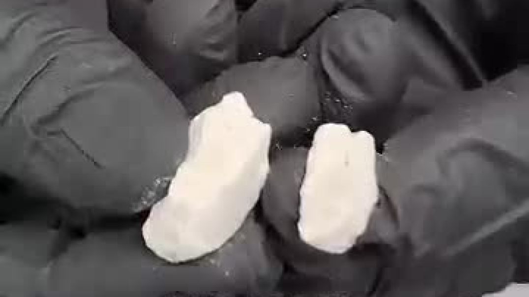 Why Whale Vomit Is Worth MILLIONS