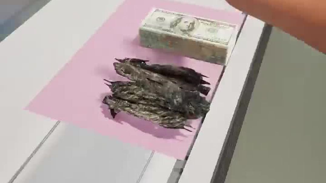 How This Expensive Wood Is Made