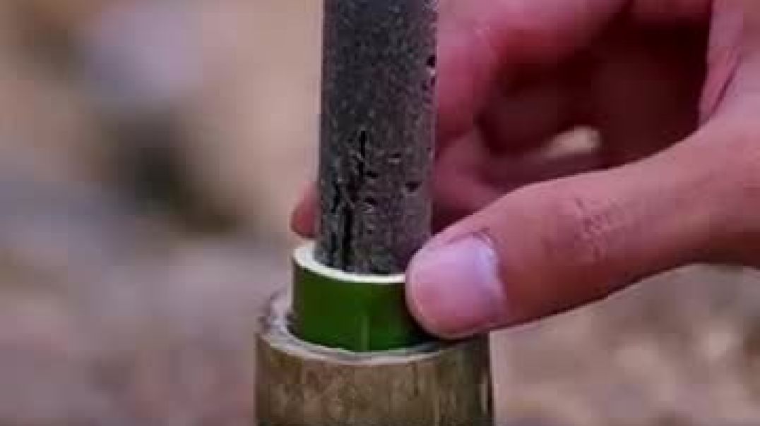 ⁣How Tree Sap Became One Of The Most Important Inventions  (@banlichazi)