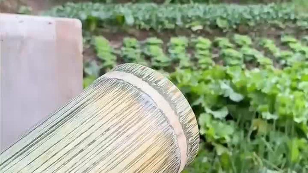 Turning_Grass_Into_The_Loudest_Cannon