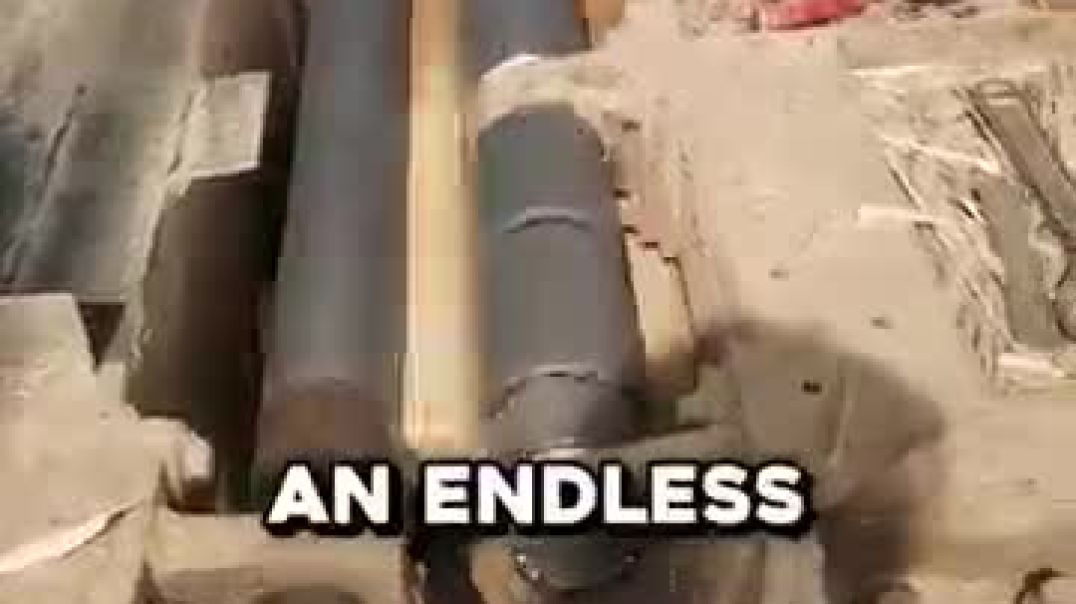 ⁣Why This Tree Is Worth Thousands Once Peeled